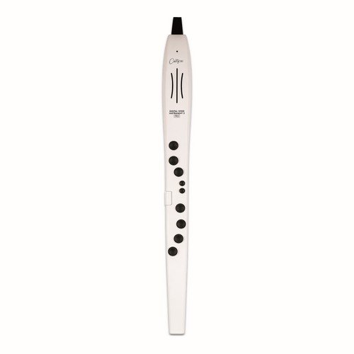 CARRY ON CO-DWI2PRO-WT - DIGITAL WIND INSTRUMENT PRO - BIANCO