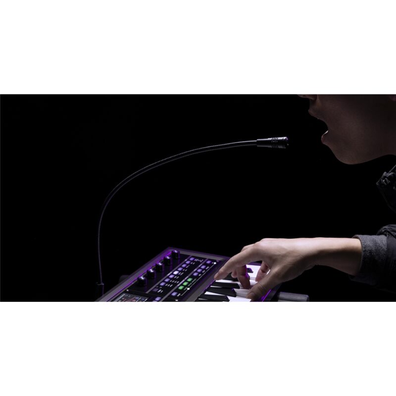 Korg MICROKORG 2 standard
