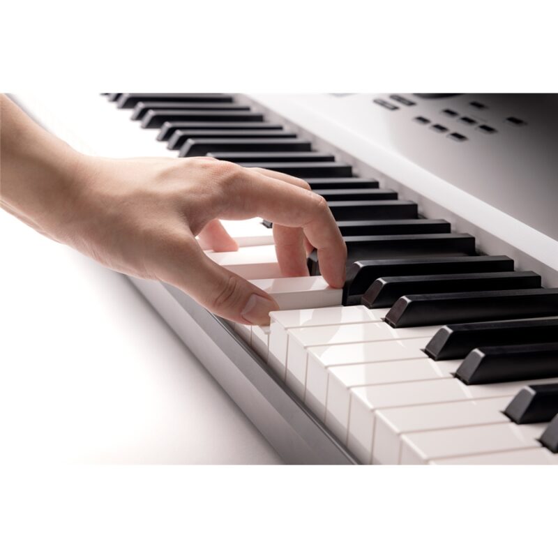 Korg NAUTILUS88AT GR