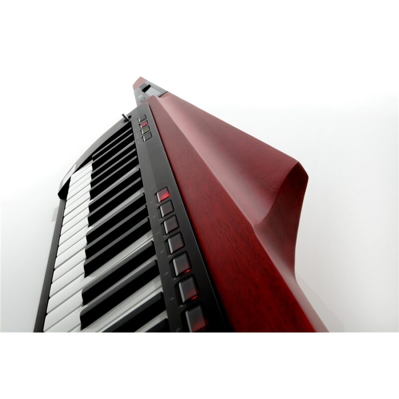 Korg RK-100S2-RD