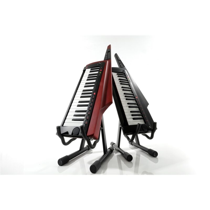 Korg RK-100S2-RD