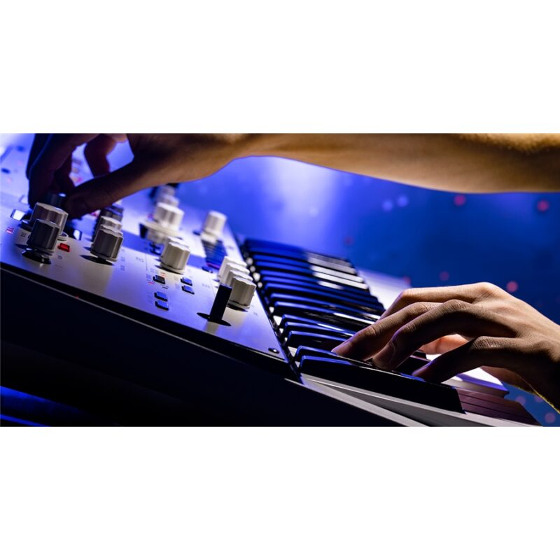 Korg KINGKORG NEO - immagine 19