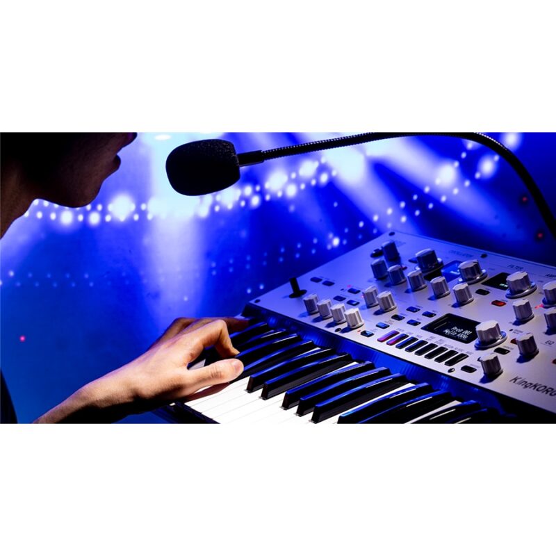 Korg KINGKORG NEO - immagine 21
