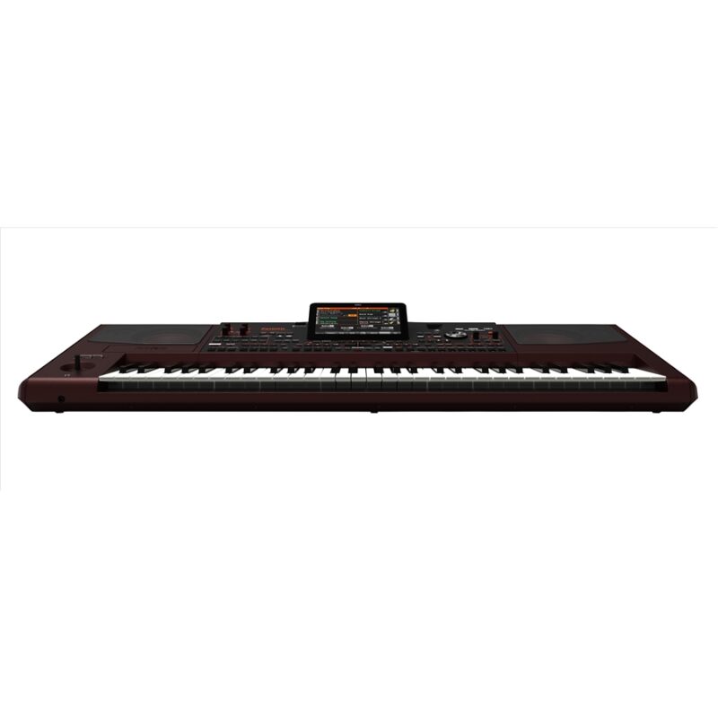 Korg Pa1000