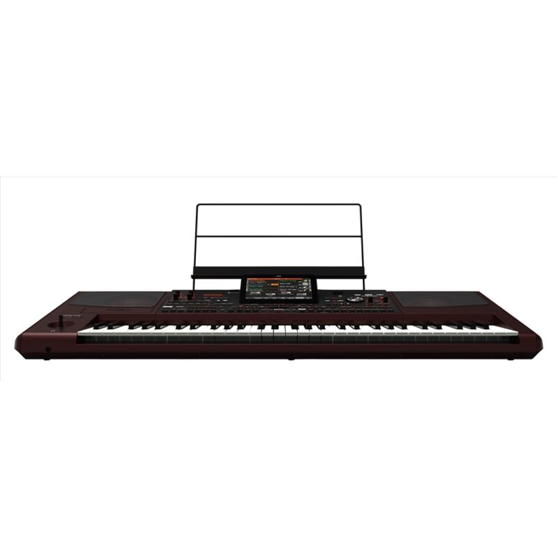 Korg Pa1000