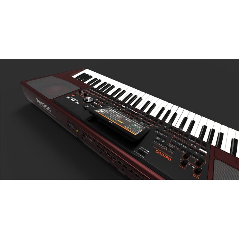 Korg Pa1000