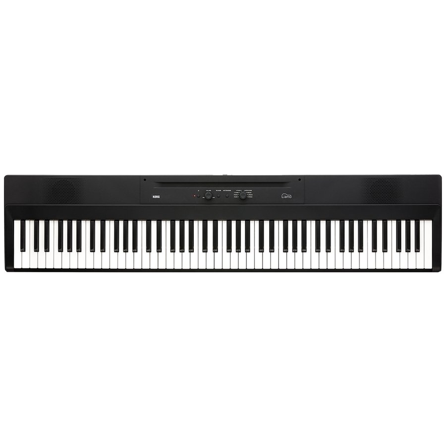 Korg Liano Pianoforte digitale Portatile