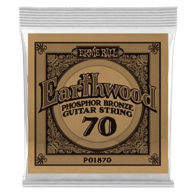 Ernie Ball 1870 Earthwood Phospor Bronze .070