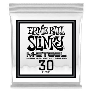 Ernie Ball 0530 M-Steel Wound .030