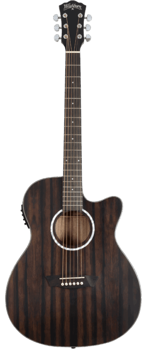WASHBURN EBONY ACE