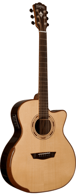 WASHBURN G25 SCE