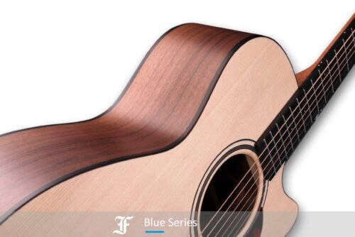 FURCH BLUE GC-SW - immagine 10