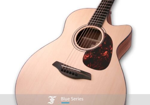 FURCH BLUE GC-SW - immagine 12