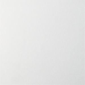 ARTNOVION Ulysses RT - FG | (P0029) White PET