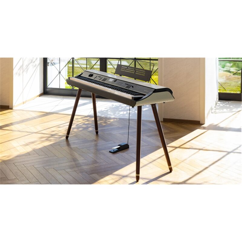 Korg ST-WGS