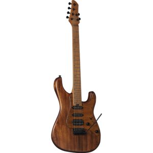 Eko Guitars Aire 701 Wildwood