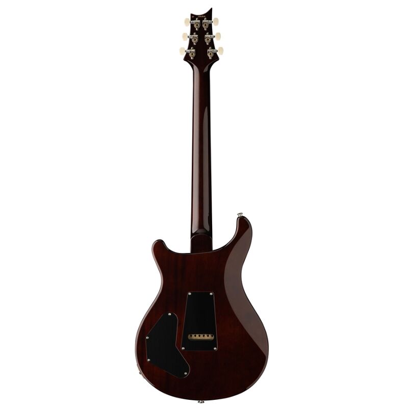 PRS DGT Birds Gold Top 2024