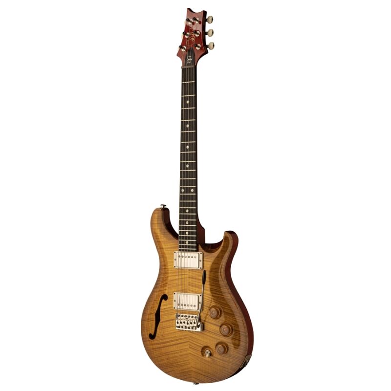 PRS DGT Semi-Hollow Limited Edition