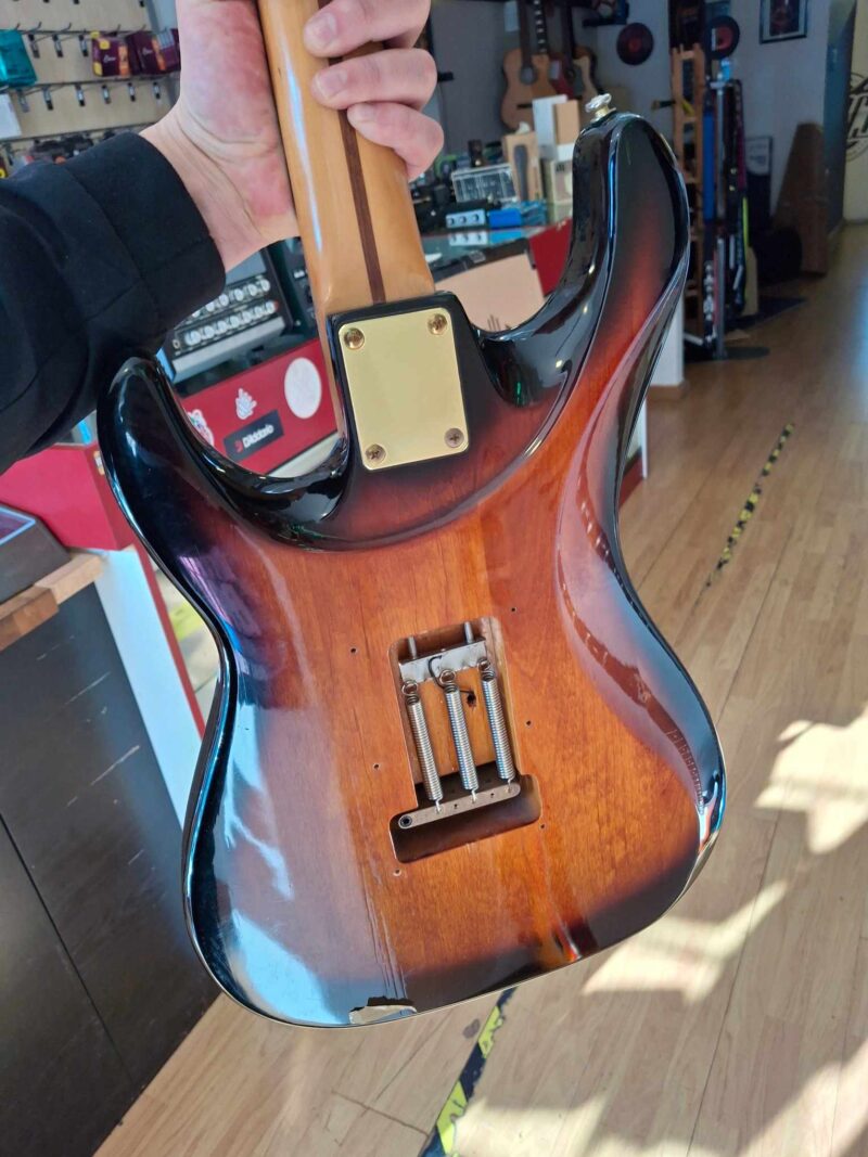Samick Valley Arts - immagine 3