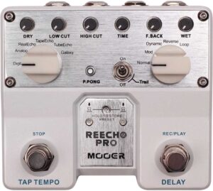 MOOER REECHO PRO DIGITAL DELAY
