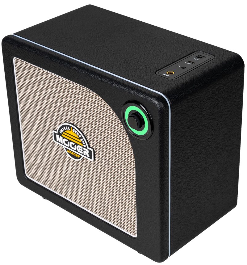 MOOER HORNET 15I BLACK - immagine 2