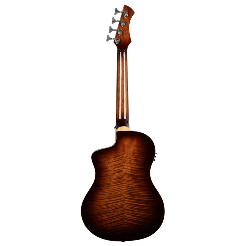 ORTEGA KT-WALKER-V3 - immagine 5