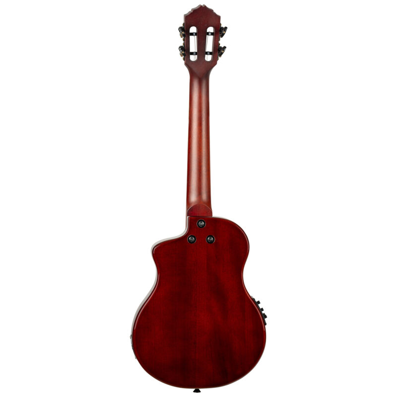 ORTEGA RTPS-U-NAT - immagine 5