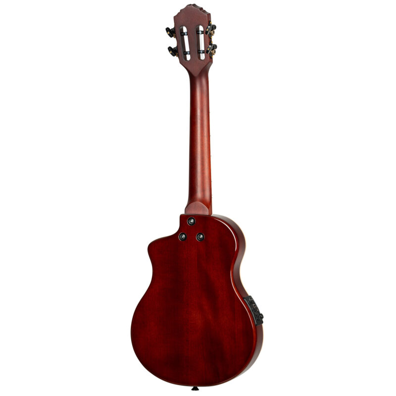 ORTEGA RTPS-U-NAT - immagine 6