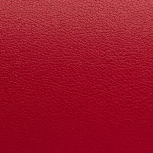BAM ITALIA ETRO4012SR L'ETOILE ROYAL CABINE TENOR SAX