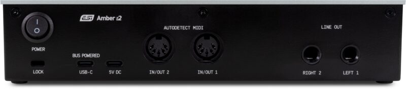 ESI Amber i2 - immagine 2