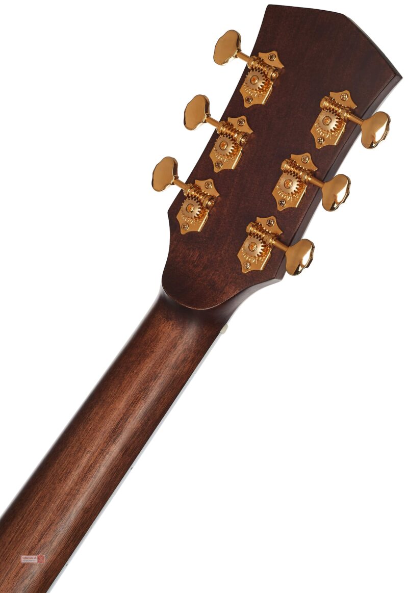 CORT ACTION BASS PLUS BK - immagine 5