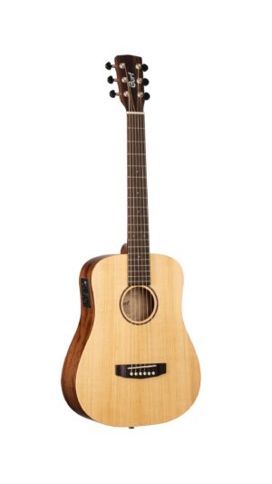 CORT EARTH MINI E ADIRONDACK OP W/B