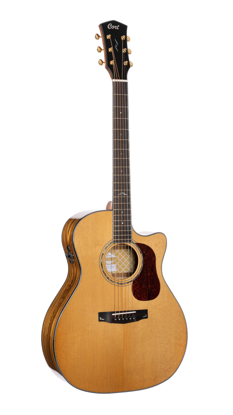 CORT KX100 IO