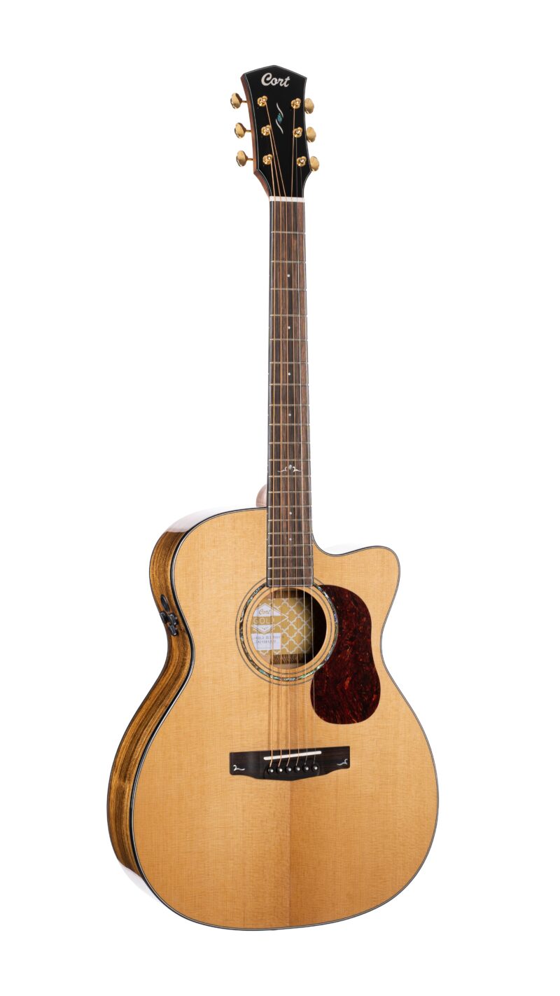 CORT KX100 IO