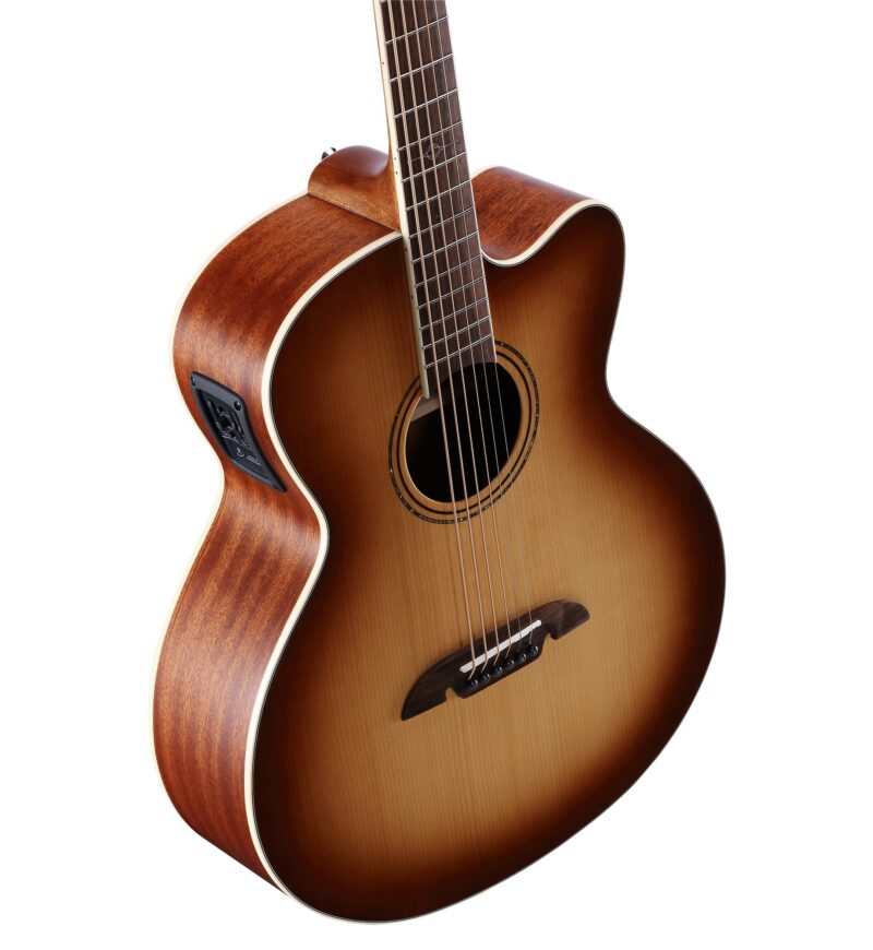 ALVAREZ AJ80CE - immagine 4