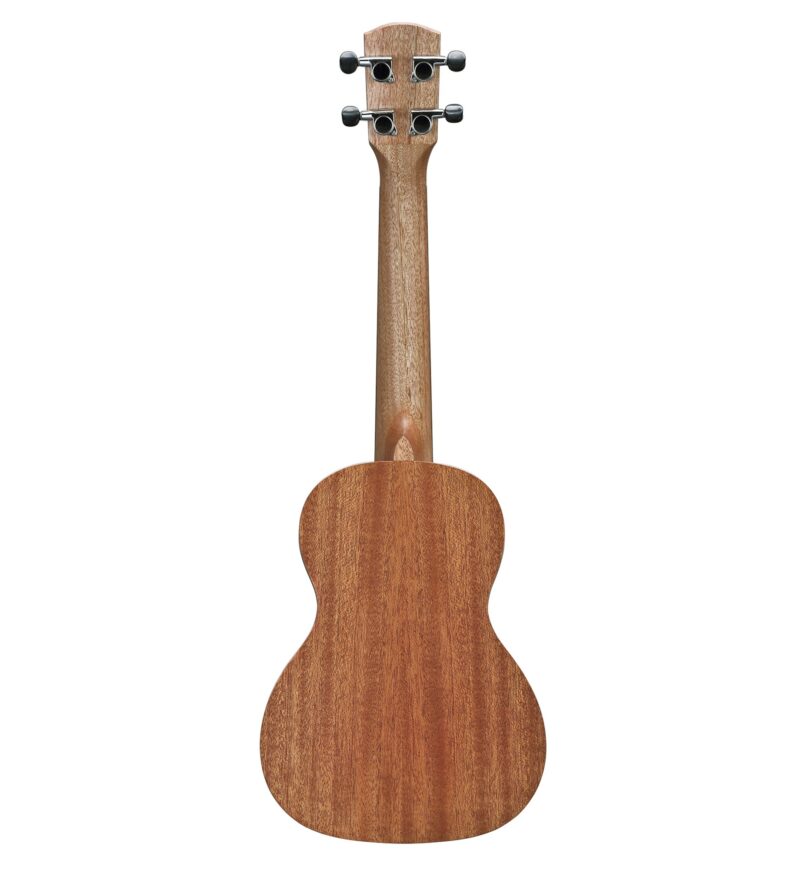 ALVAREZ AEG99CESPBARSHB - immagine 3