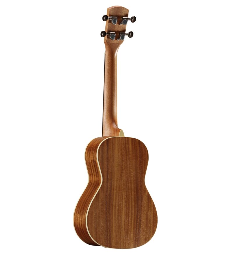 ALVAREZ MD66CESHB - immagine 2