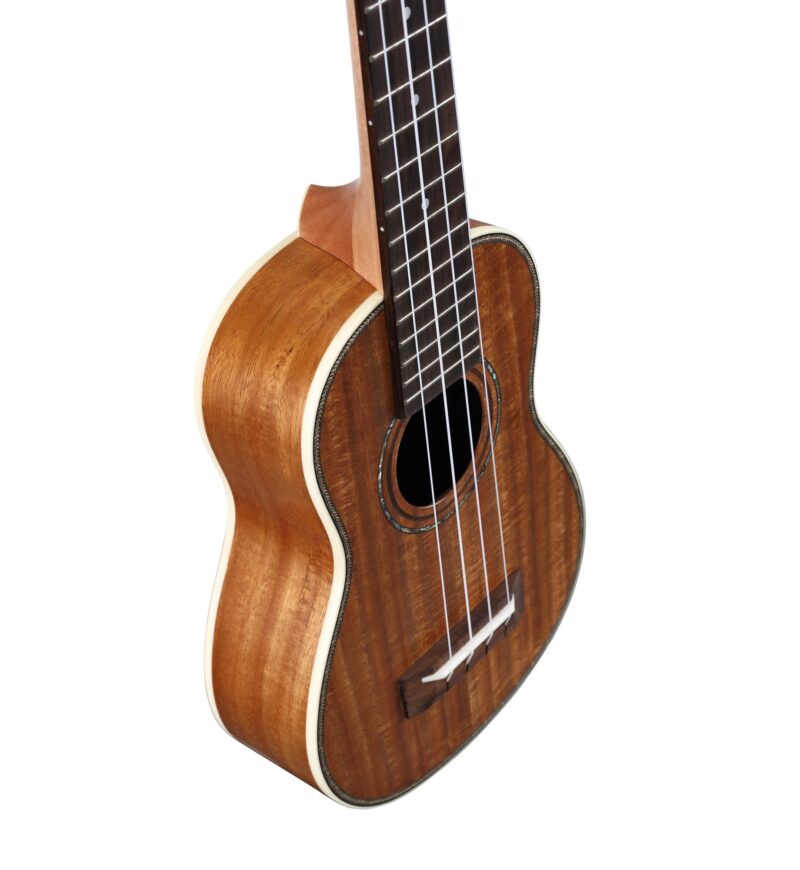 ALVAREZ MF70CEHF - immagine 4