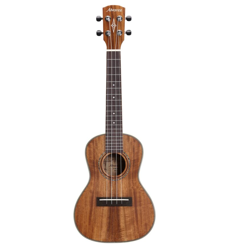 ALVAREZ MP60EHFSHB - immagine 2