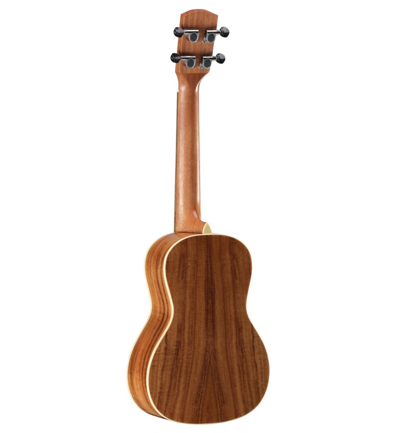ALVAREZ MP60EHFSHB - immagine 3