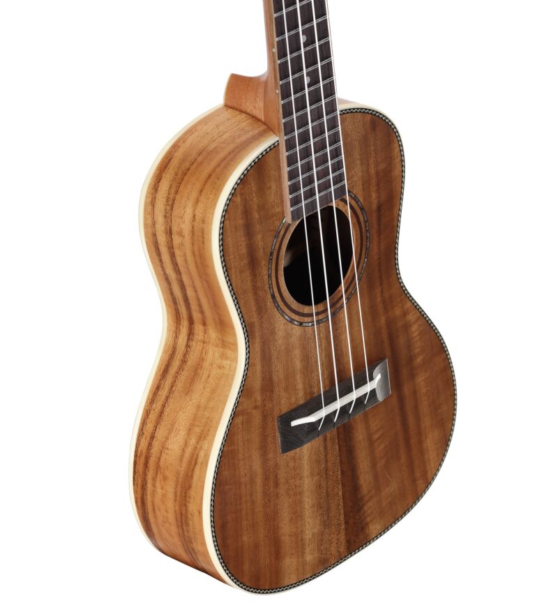 ALVAREZ MP60EHFSHB - immagine 4