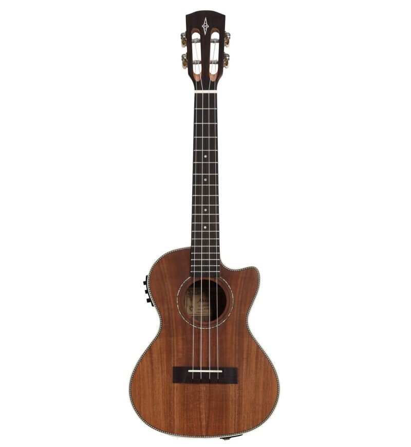 ALVAREZ AD60CESPBSHB - immagine 2