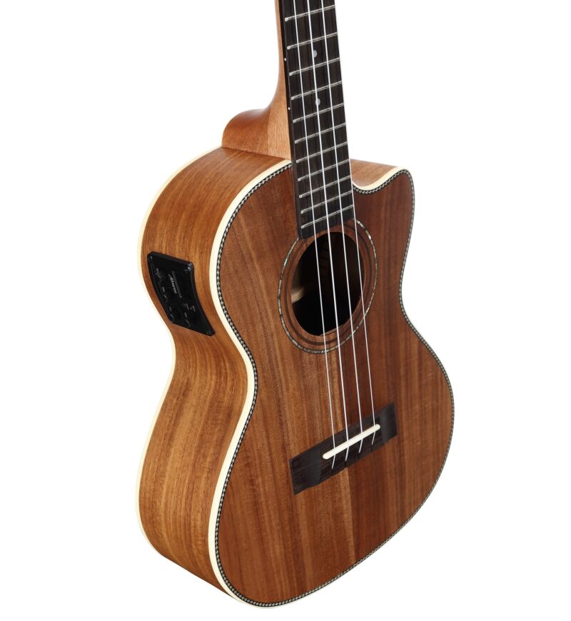 ALVAREZ AD60CESPBSHB - immagine 4