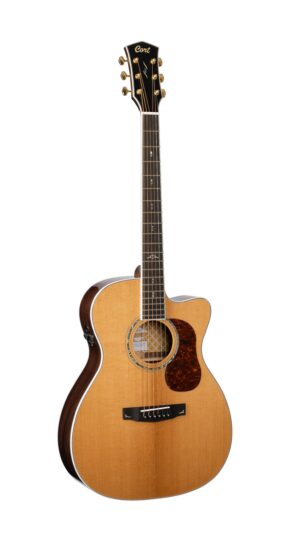 CORT X250 BK