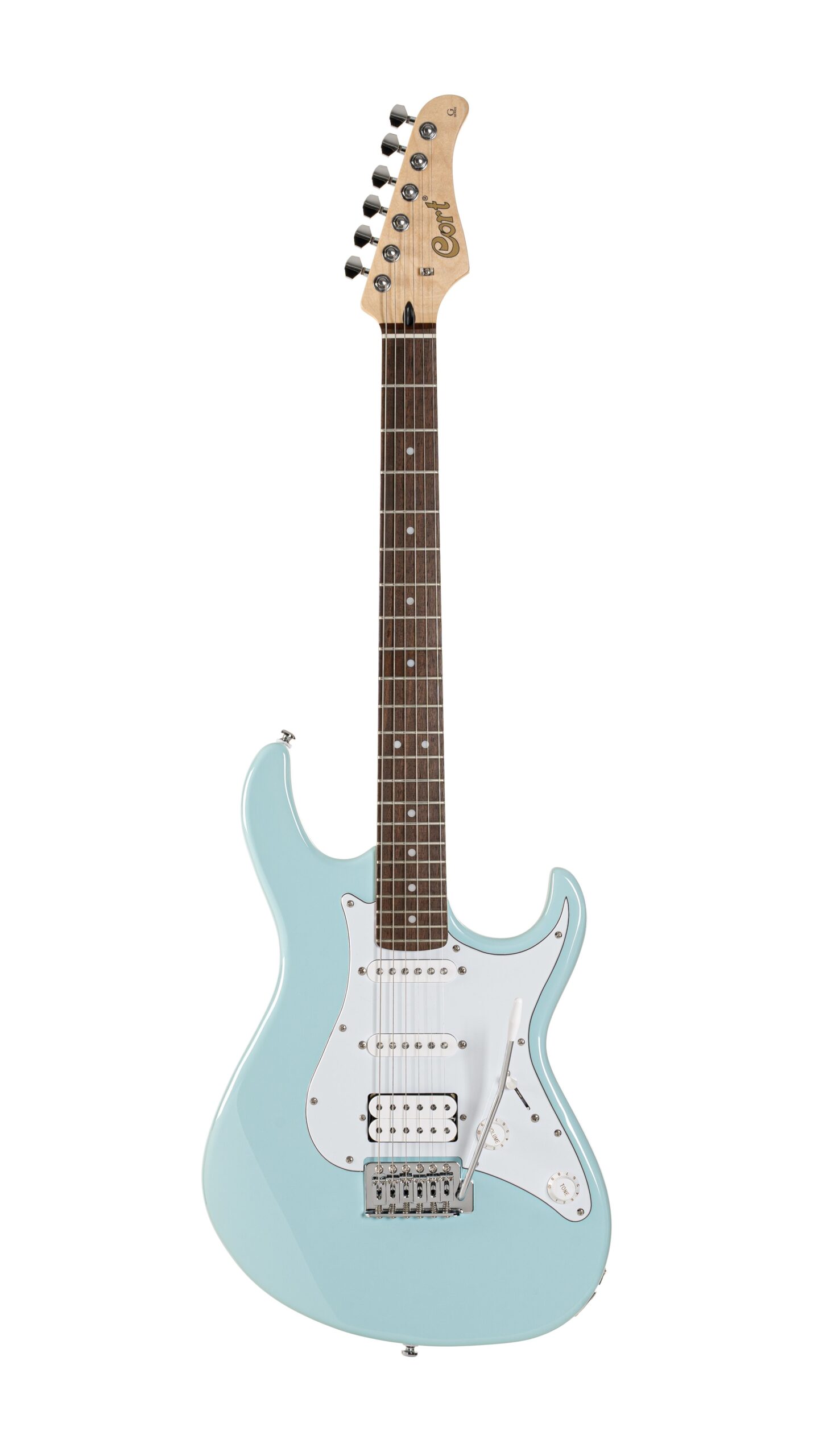 CORT GOLD-O6 NAT