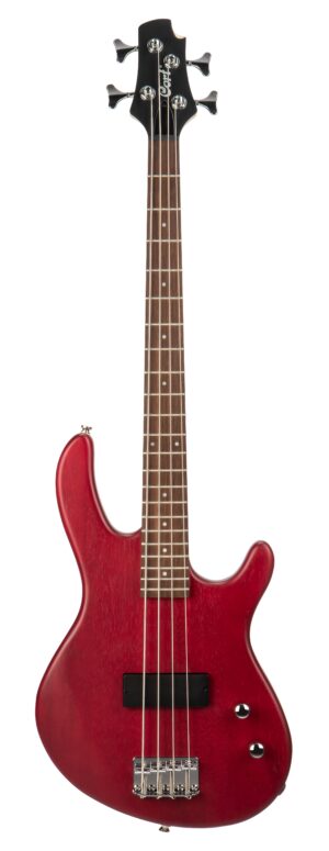 CORT GOLD-A8 ELECT NAT