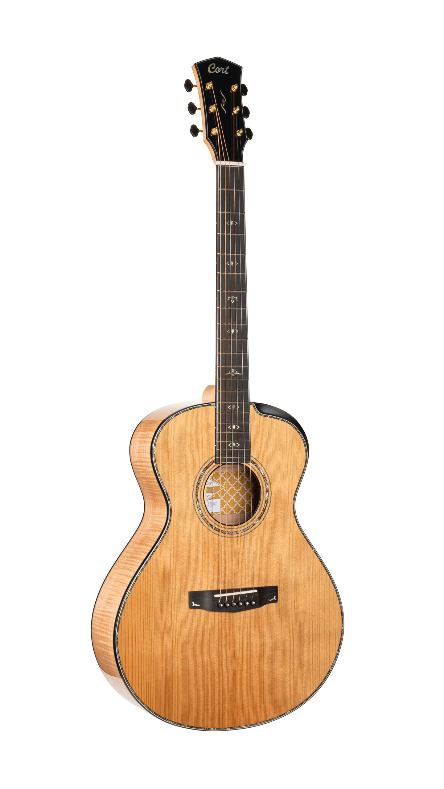 CORT GOLD PASSION NAT W/CASE