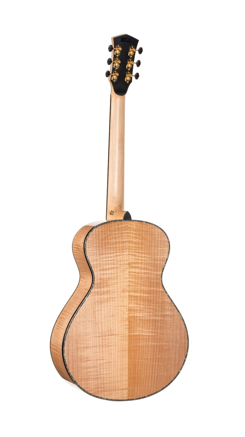 CORT GOLD PASSION NAT W/CASE - immagine 2