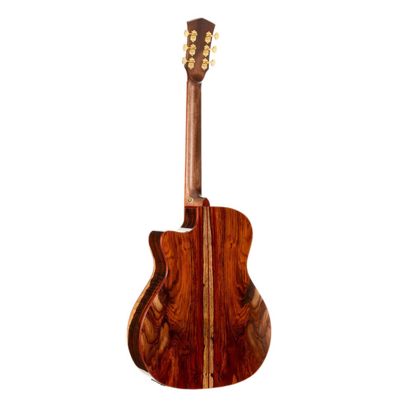 CORT GOLD-A10 NAT W/CASE - immagine 2