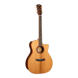 CORT GOLD-A10 NAT W/CASE
